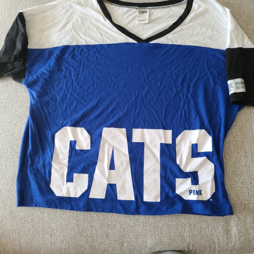 UK Wildcat Pink crop top